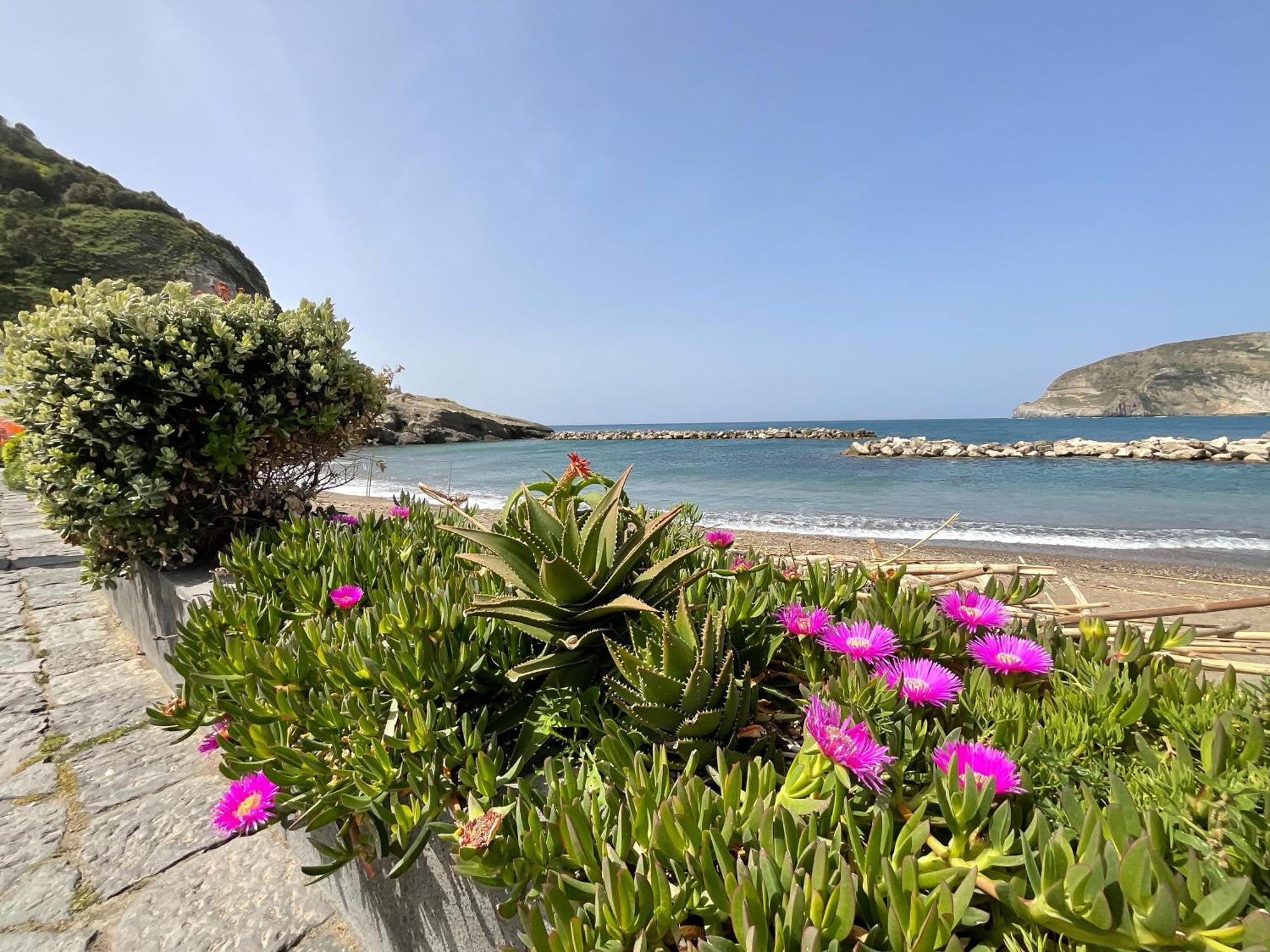 Casa Francesco Seaside Apartment Sant'Angelo  Luaran gambar